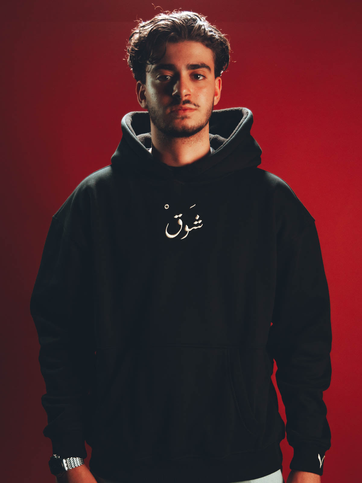 Ma Baynana Wo'ood Palestine hoodie, front on model