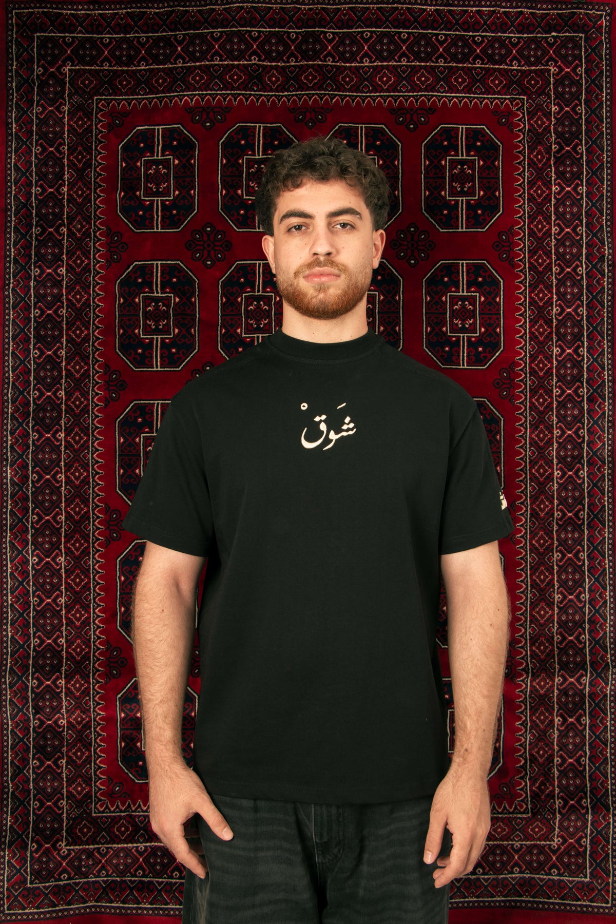 Ma Baynana Wo'ood Palestine t-shirt, front on model