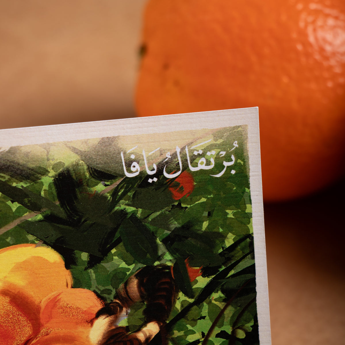 بطاقة بريدية