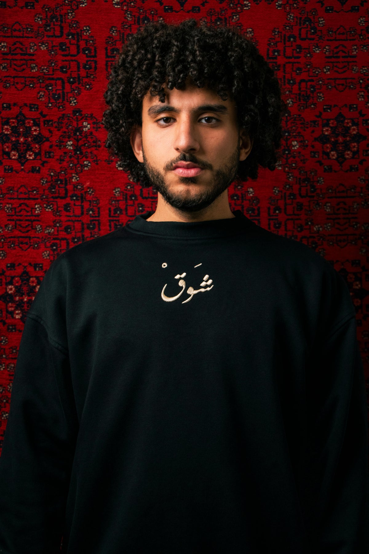 Ma Baynana Wo'ood Palestine crewneck, front on model
