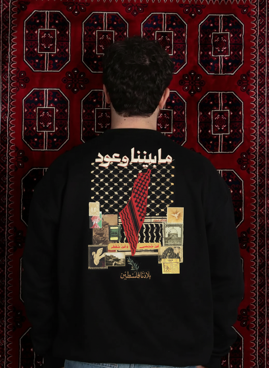 Ma Baynana Wo'ood ما بيننا وعود Palestine embroidered black crewneck, front