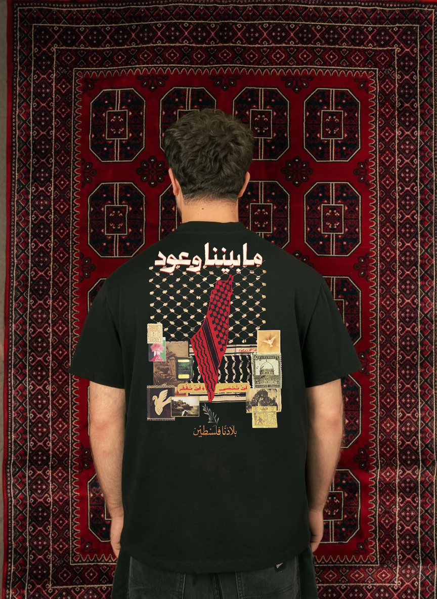 Ma Baynana Wo'ood ما بيننا وعود Palestine embroidered black t-shirt, front